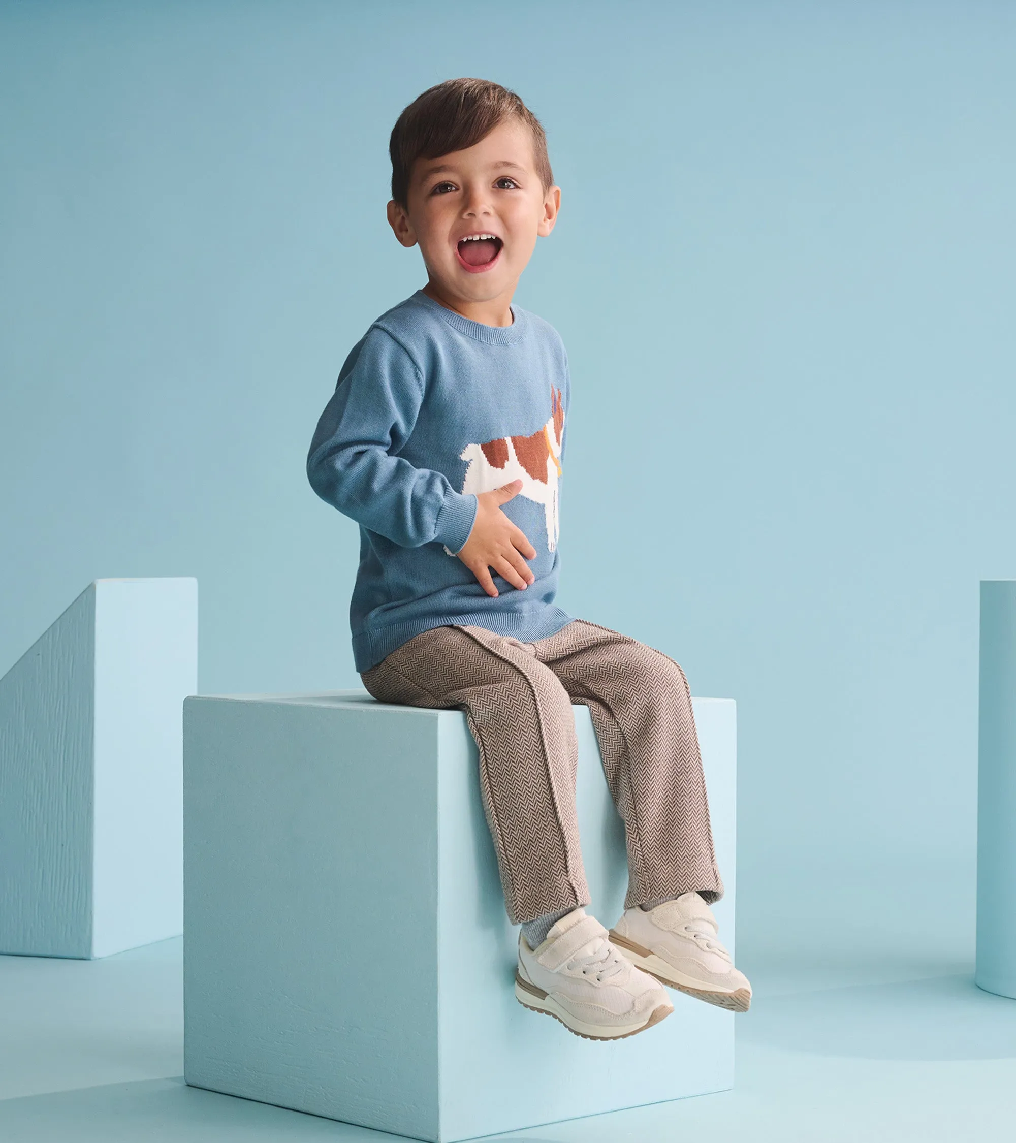 Baby & Toddler Boys Brown Sugar Herringbone Pants