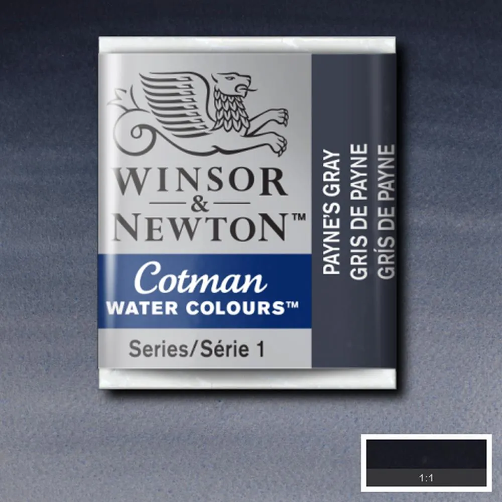 Cotman Watercolour - Payne's Gray