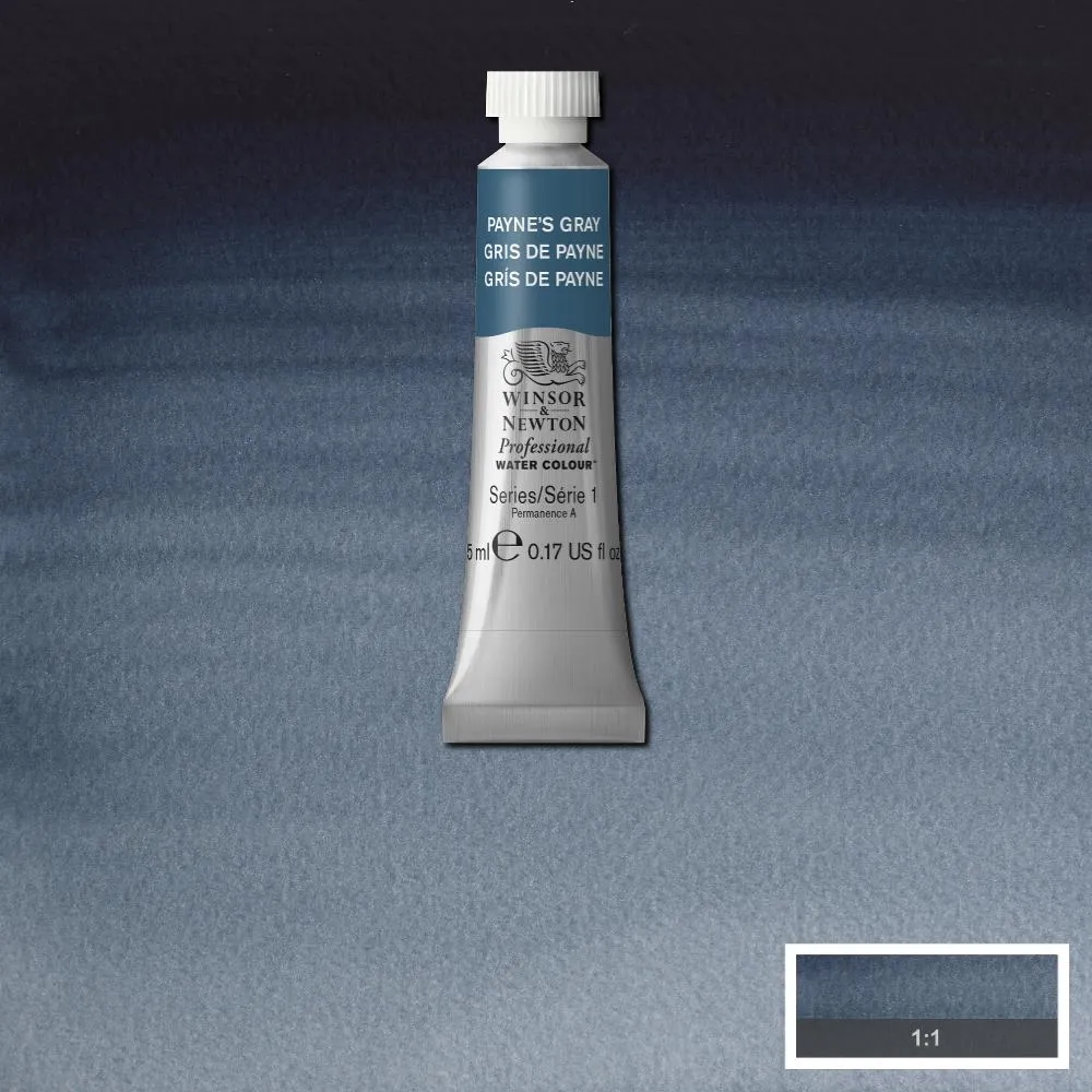 Professional Watercolour - Payne's Gray