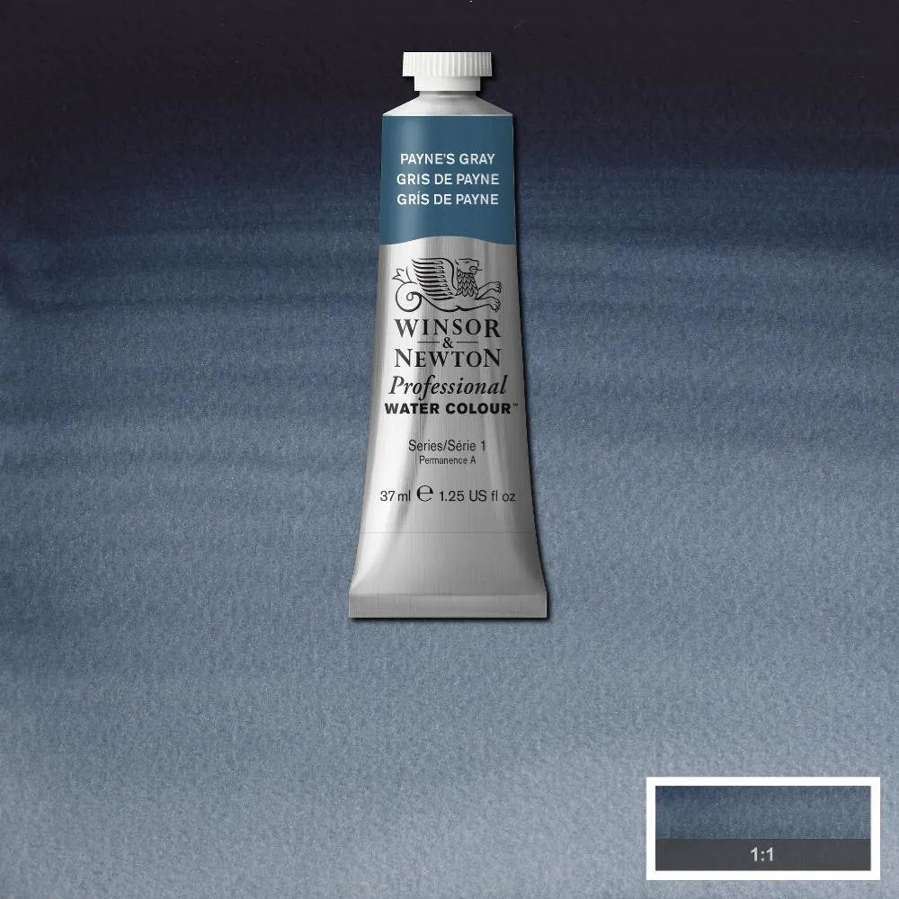 Professional Watercolour - Payne's Gray