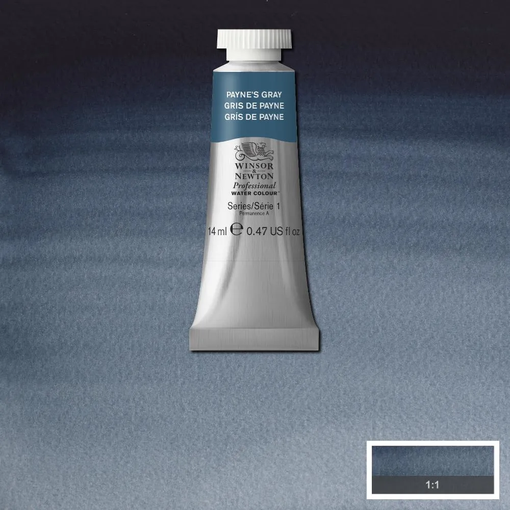 Professional Watercolour - Payne's Gray