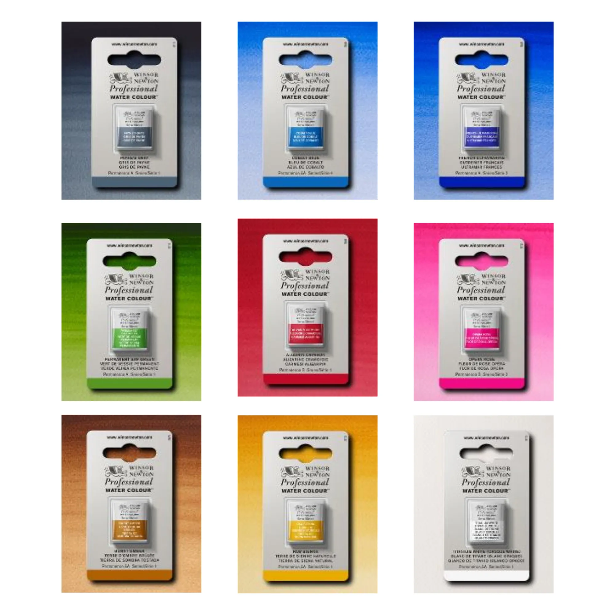 Professional Watercolour World Art Day Bundle
